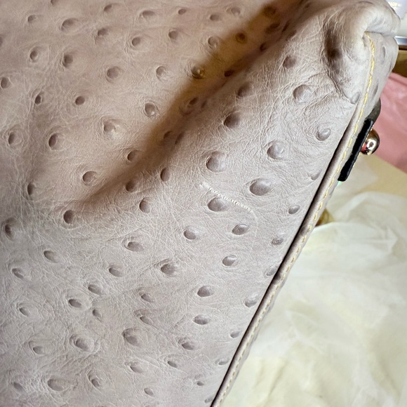 Dooney & Bourke Gray Ostrich Skin Satchel - Picture 15 of 15